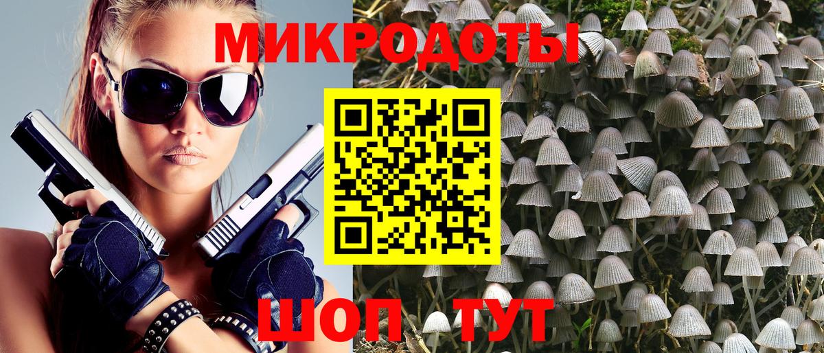 Галлюциногенные грибы Psilocybine cubensis Дивногорск
